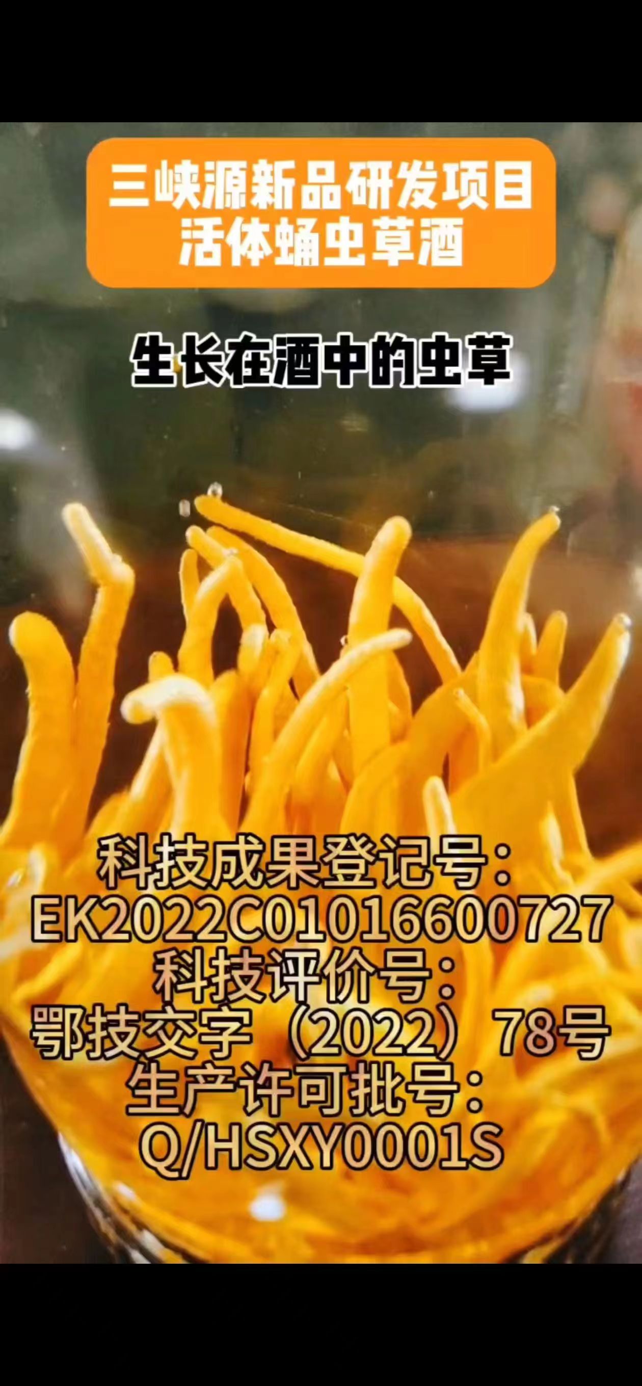 白酒厂家贴牌定制代加工（一站式服务，满足您的个性化需求）