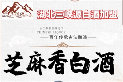 定制高档白酒，礼赠佳品彰显尊贵（高档白酒定制方案）